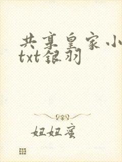共享皇家小公主txt银羽