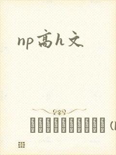 np高h文