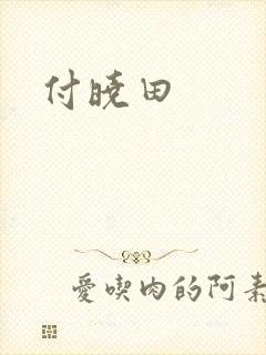 付晓田