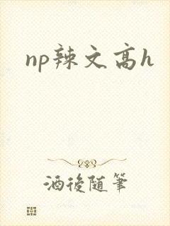 np辣文高h封面