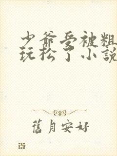 少爷受被粗汉H玩松了小说