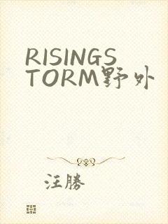 RISINGSTORM野外