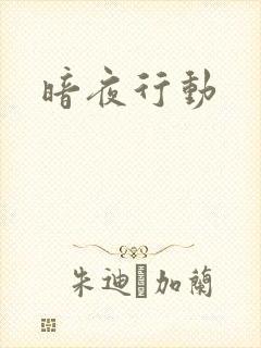 暗夜行动