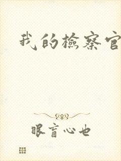 我的检察官先生