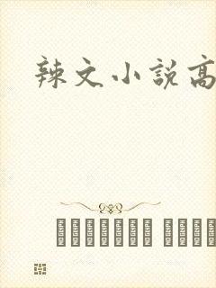 辣文小说高h封面