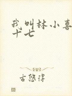 我叫林小喜今年十七封面