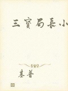 三宝局长小说封面