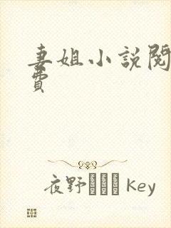 妻姐小说阅读免费封面