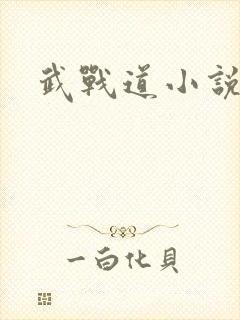 武战道小说