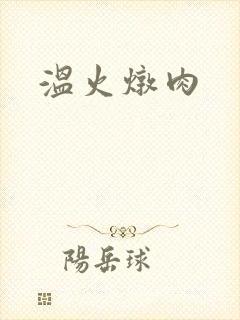 温火炖肉封面