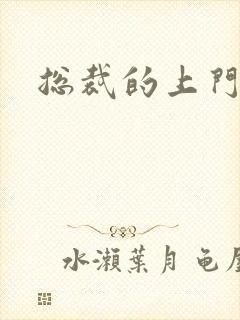 总裁的上门女婿