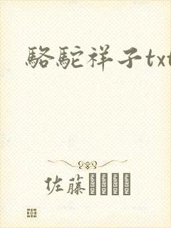 骆驼祥子txt封面