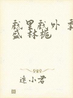 戏里戏外 季淮盛 林栀封面