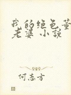 我的绝色董事长老婆 小说