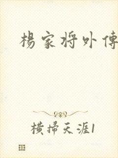 杨家将外传封面