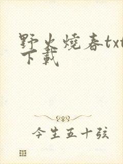 野火烧春txt下载