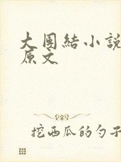 大团结小说阅读原文