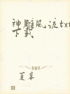 神雕风流txt下载封面