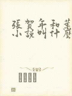 张贺年和叶繁姿小说叫什么名字