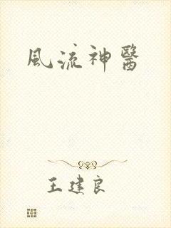 风流神医封面