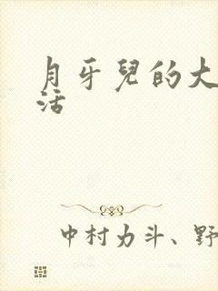 月牙儿的大学生活封面