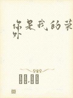 你是我的荣耀番外封面