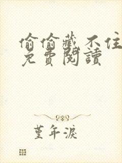 偷偷藏不住小说免费阅读