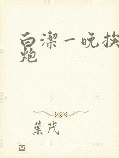 白洁一晚挨十二炮