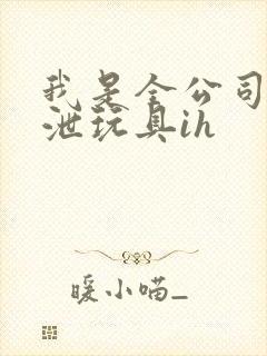 我是全公司的发泄玩具ih