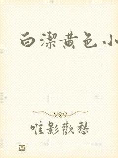白洁黄色小说
