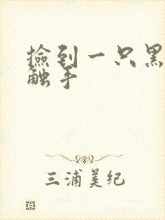 捡到一只黑心小触手