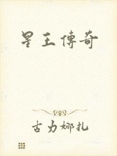星王传奇