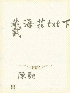藏海花txt下载封面