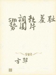 sm调教羞耻姿势图片封面