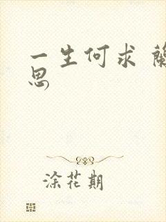 一生何求 兰思思封面