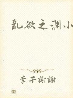 乱欲之渊小说封面