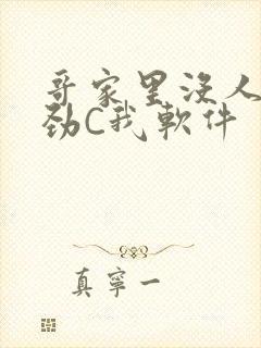 哥家里没人使点劲C我软件