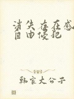 消失存在感消失自由侵犯封面