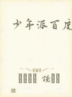 少年派百度百科