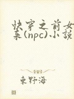 快穿之前女友归来(npc)小说免费阅读