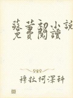 苏若初小说全文免费阅读封面