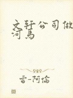 文轩公司做扩张河马封面