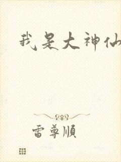我是大神仙小说