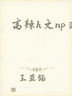 高辣h文np爽