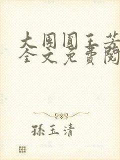 大团圆王芳高敏全文免费阅读封面