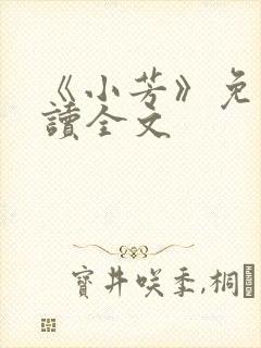 《小芳》免费阅读全文