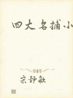 四大名捕小说封面