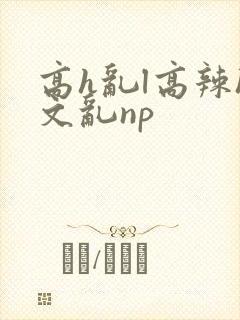 高h乱l高辣h文乱np