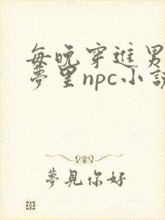 每晚穿进男神的梦里npc小说