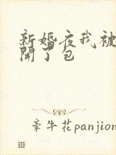 新婚夜我被伴郎开了包